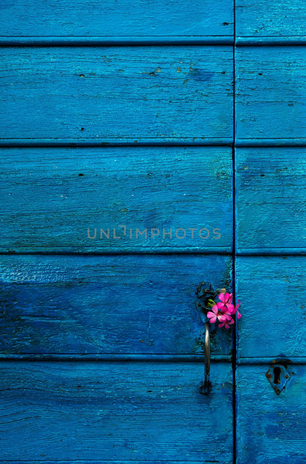 Image shows a highly textured blue door with some small violet flowers on the handle