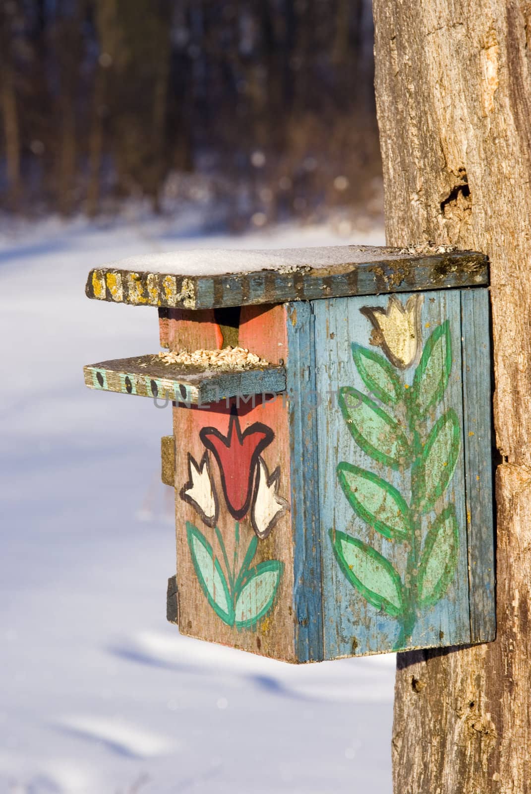 Beautiful painted nesting box in winter becomes feed for birds.