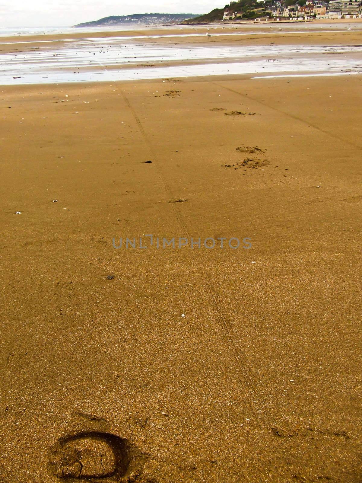 signs of the passage of a horse-drawn carriage on Juno Beac