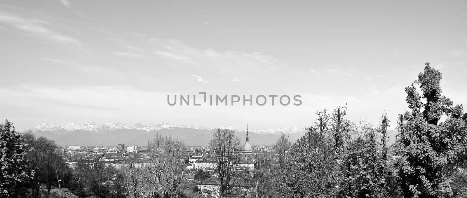 City of Turin (Torino) skyline panorama seen from the hill