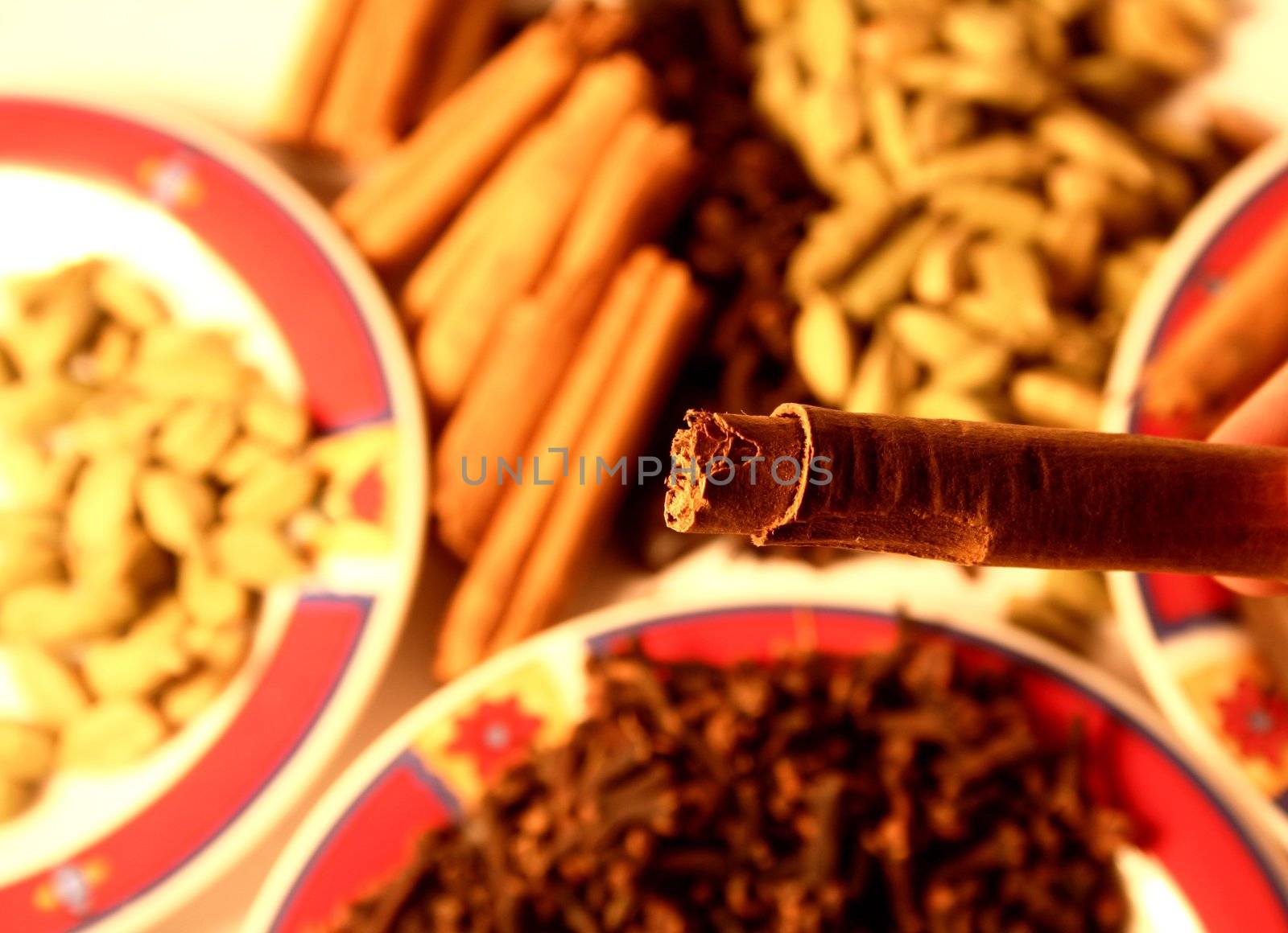 Cinnamon on spices background