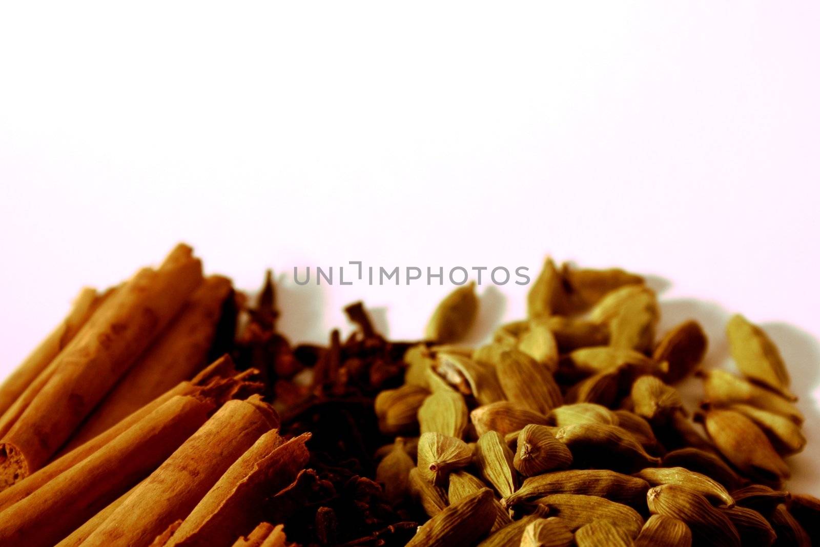 Spices on white background