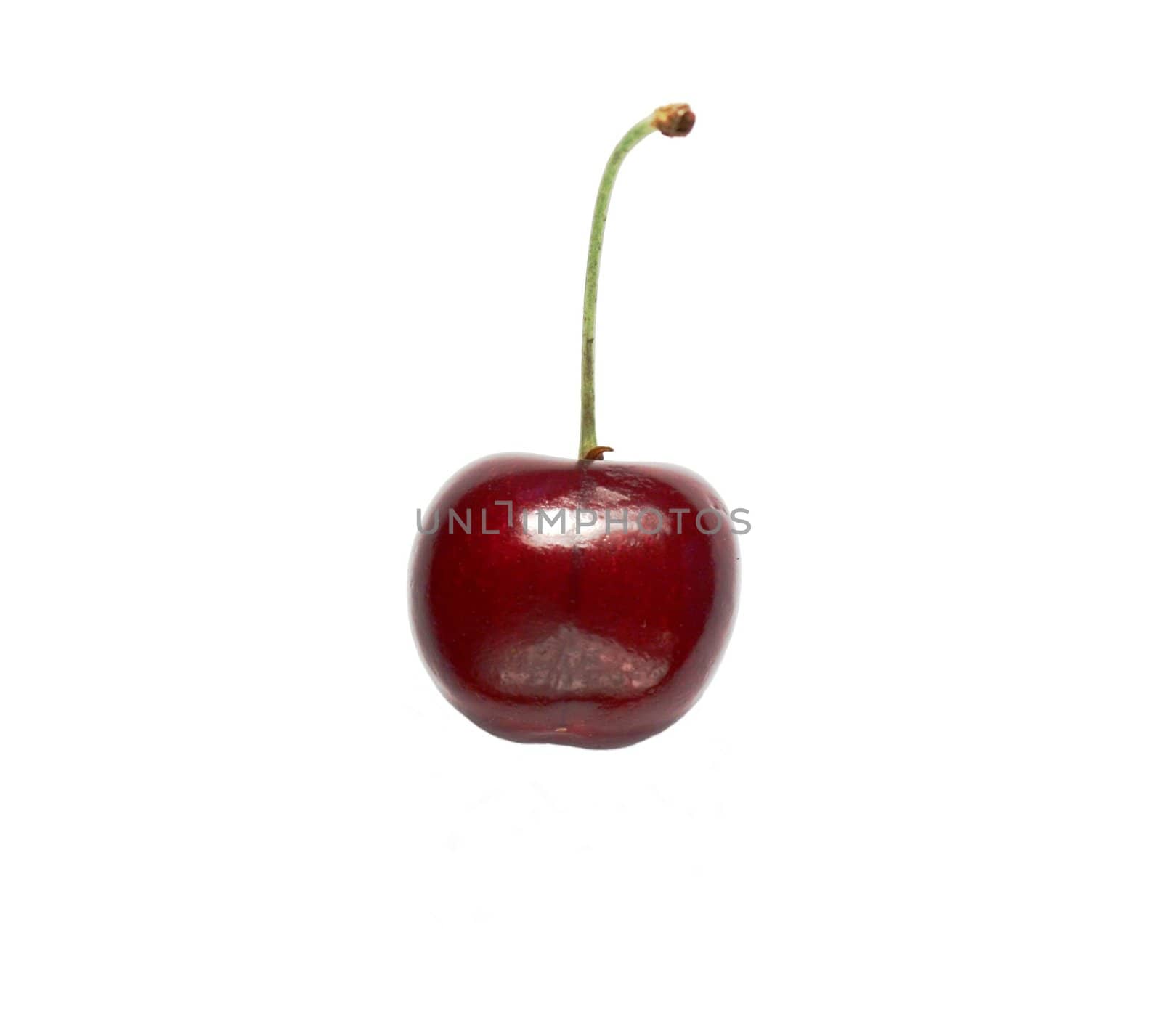 Isolated cherry