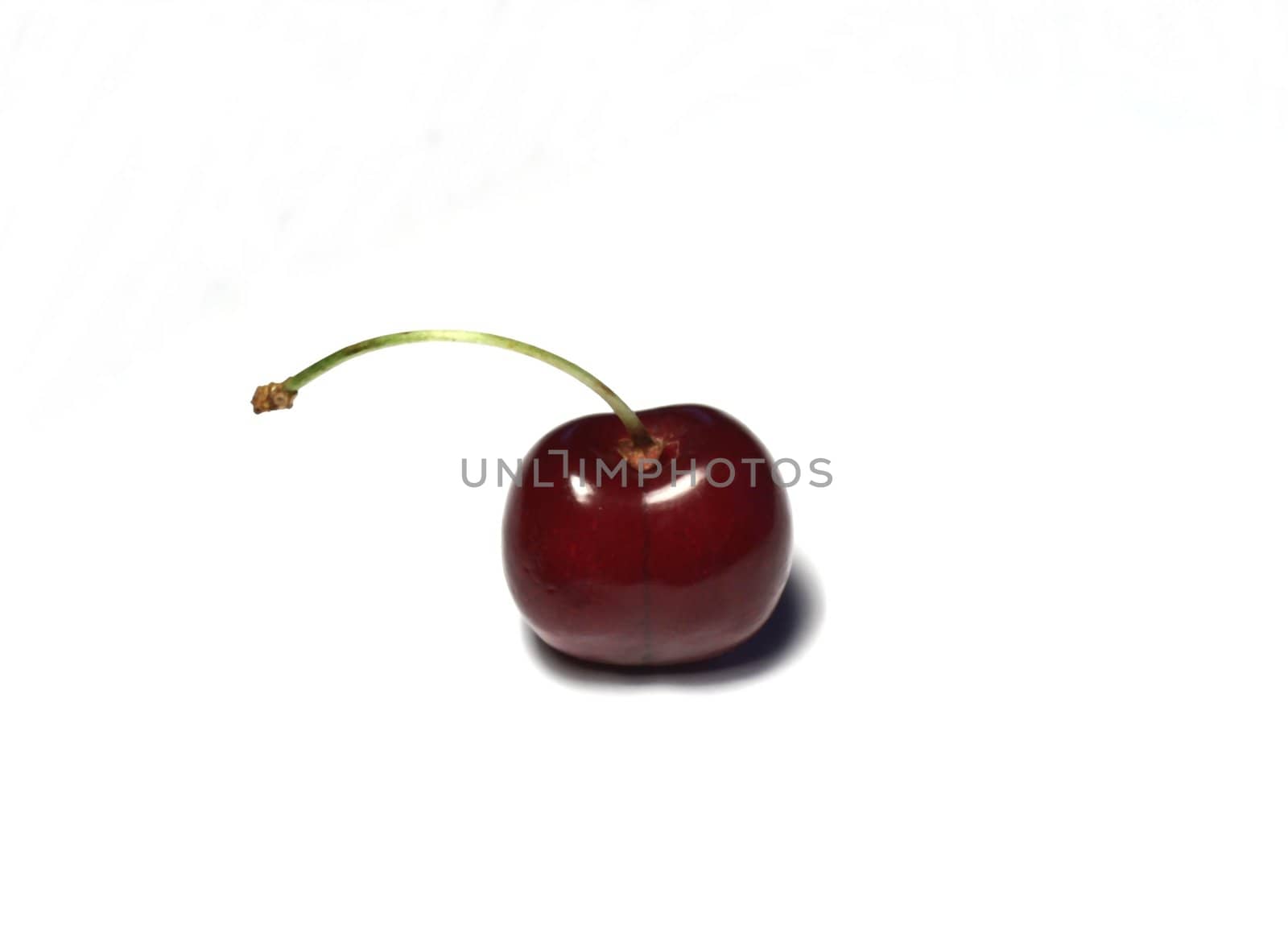 isolated cherry on white background