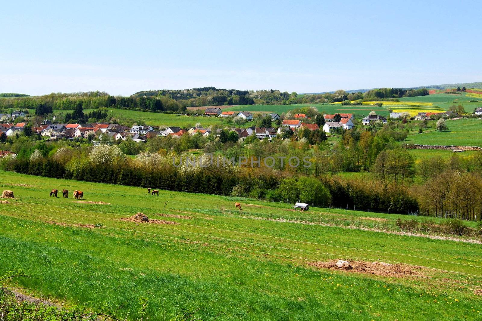 Löstertal im Saarland
