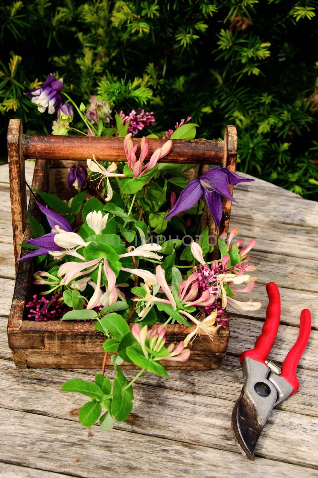 Fresh cut flowers from the garden in a wooden tray