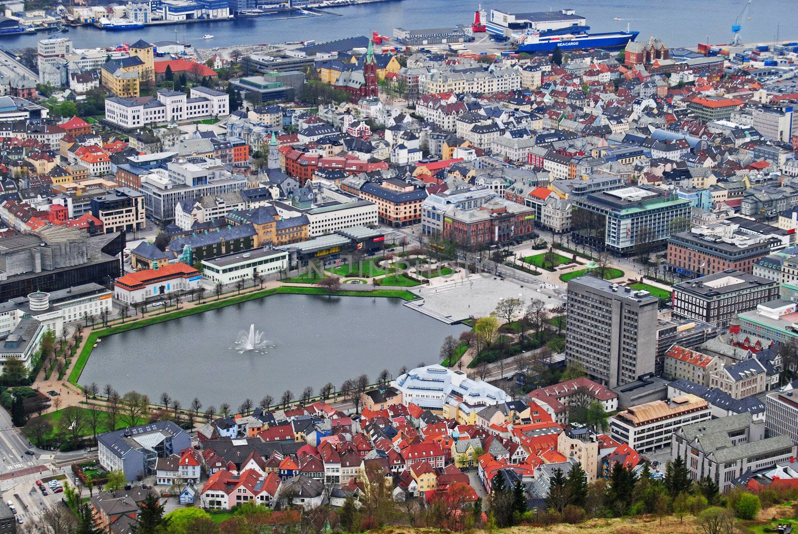 view of Bergen by viviolsen
