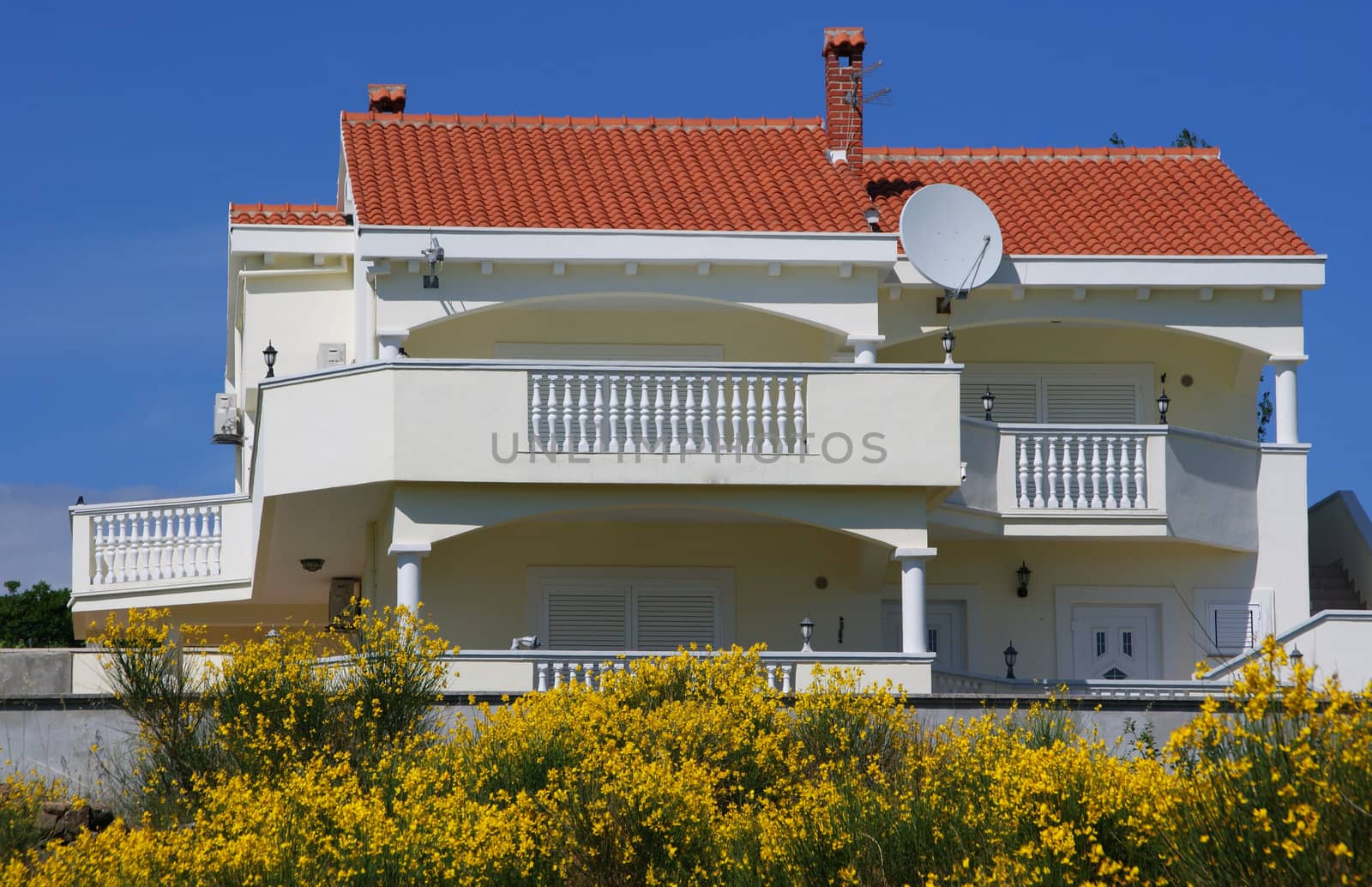 Elite House - villa. Photographed from the front. With lots of yellow flowers in the foreground.