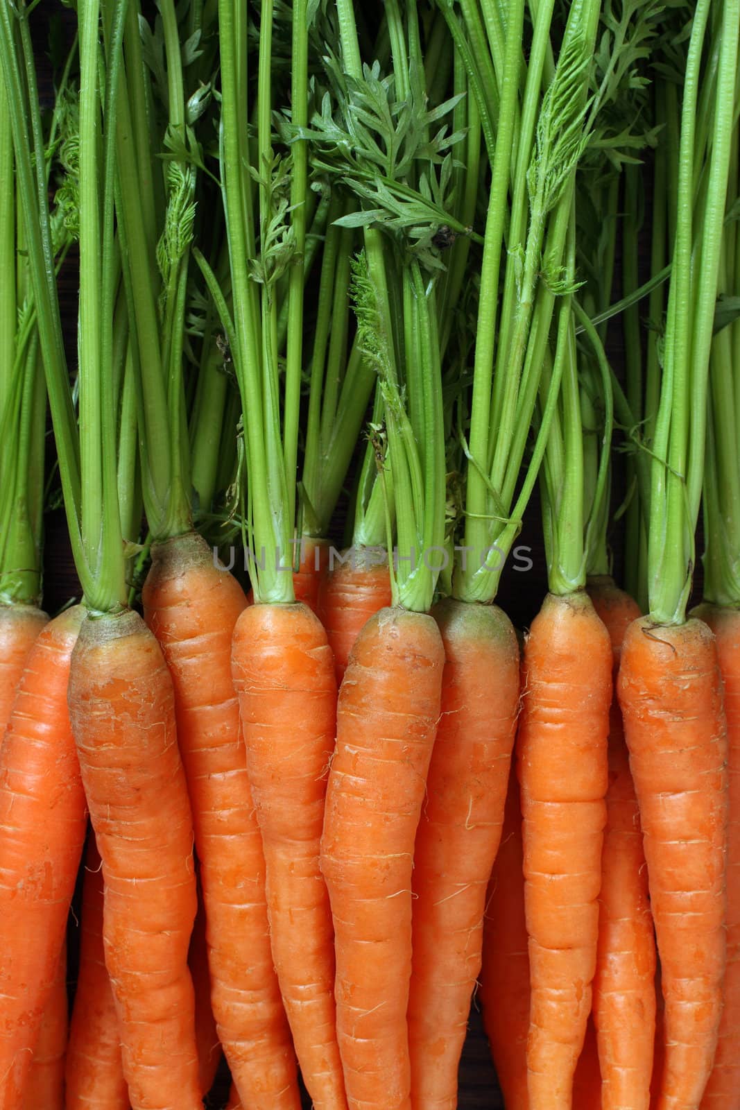 Photo of a bunch of carrots as a background.
