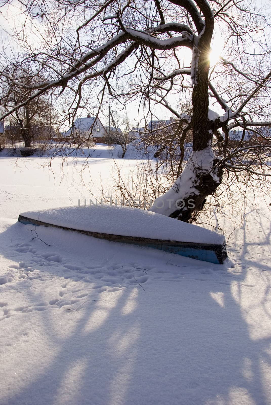 Old wooden boat covered with snow. by sauletas