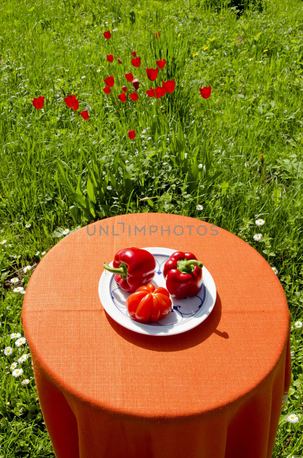 Red paprikas and tomato. Healthy food. by sauletas