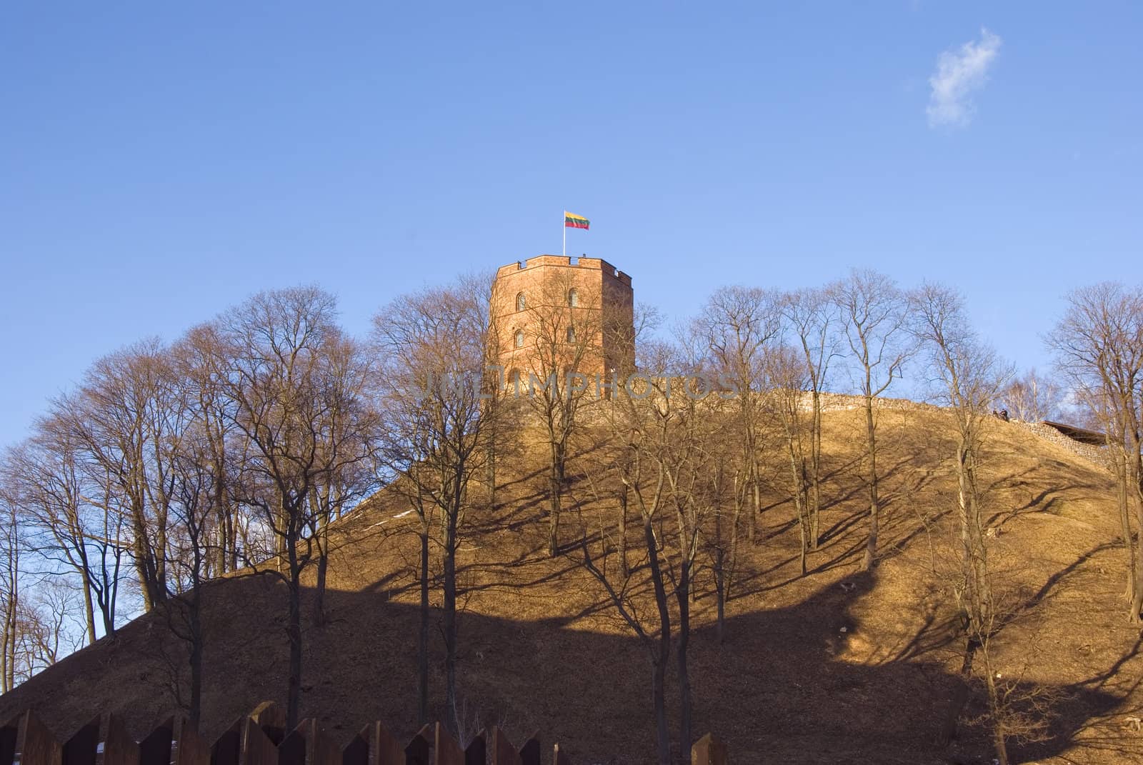 Gediminas castle in Vilnius with Lithuania flag on top of huge hill. Tricolor - yellow, green, red.