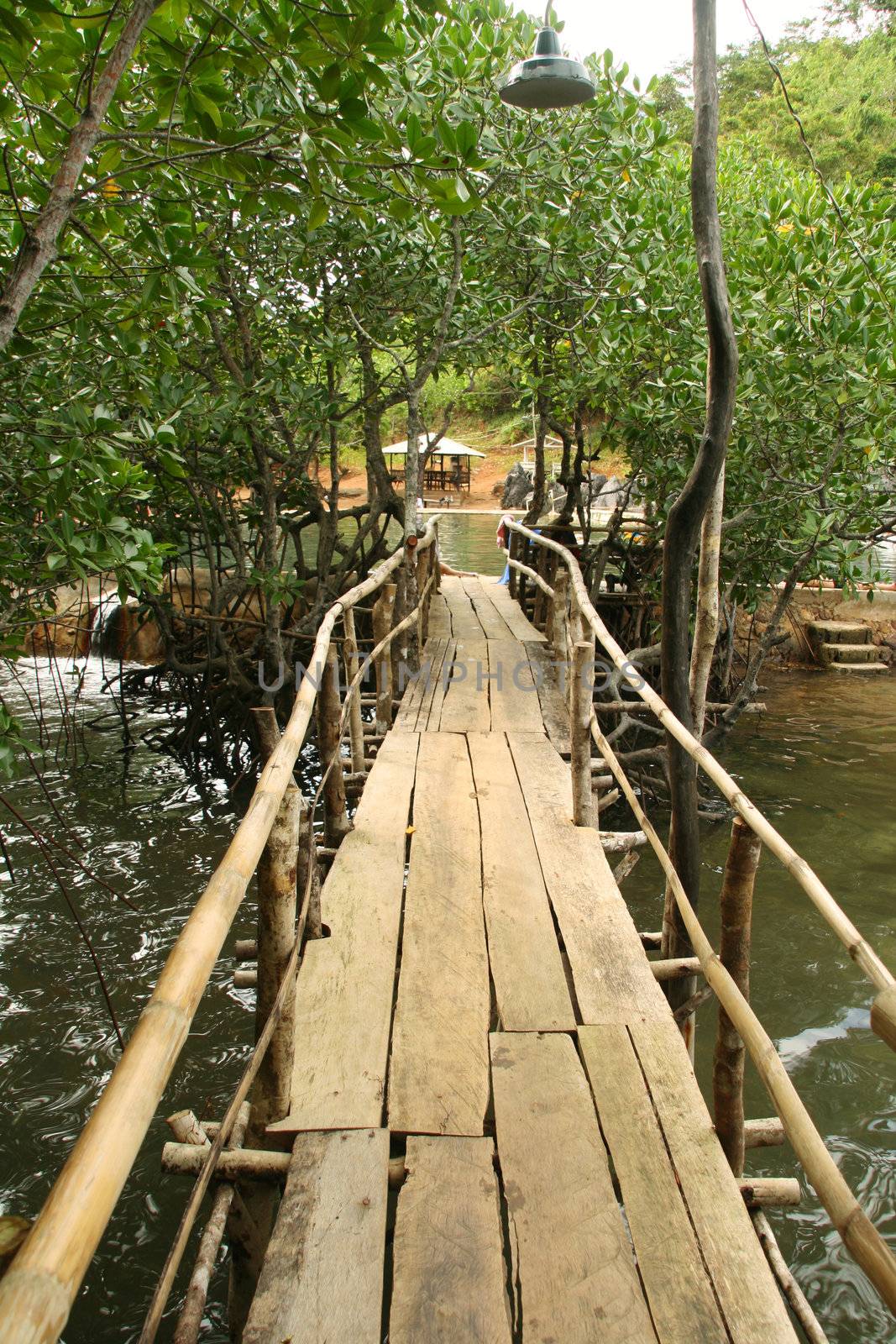 a wooden pathway leading to a hot spring pool
