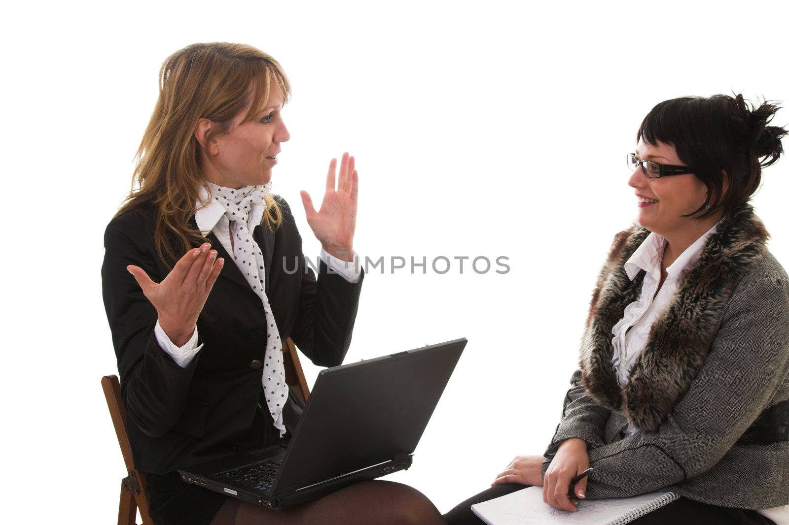 Two business women sitting together with one having a laptop, discussing business