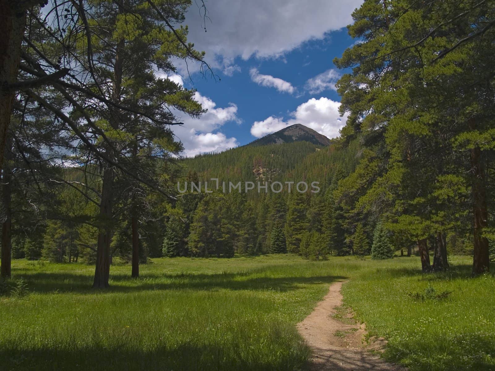 This endless trail under Red Mountain to Skeleton Gulch .. breaks off the Colorado river trail in Rocky Mountain National Park.