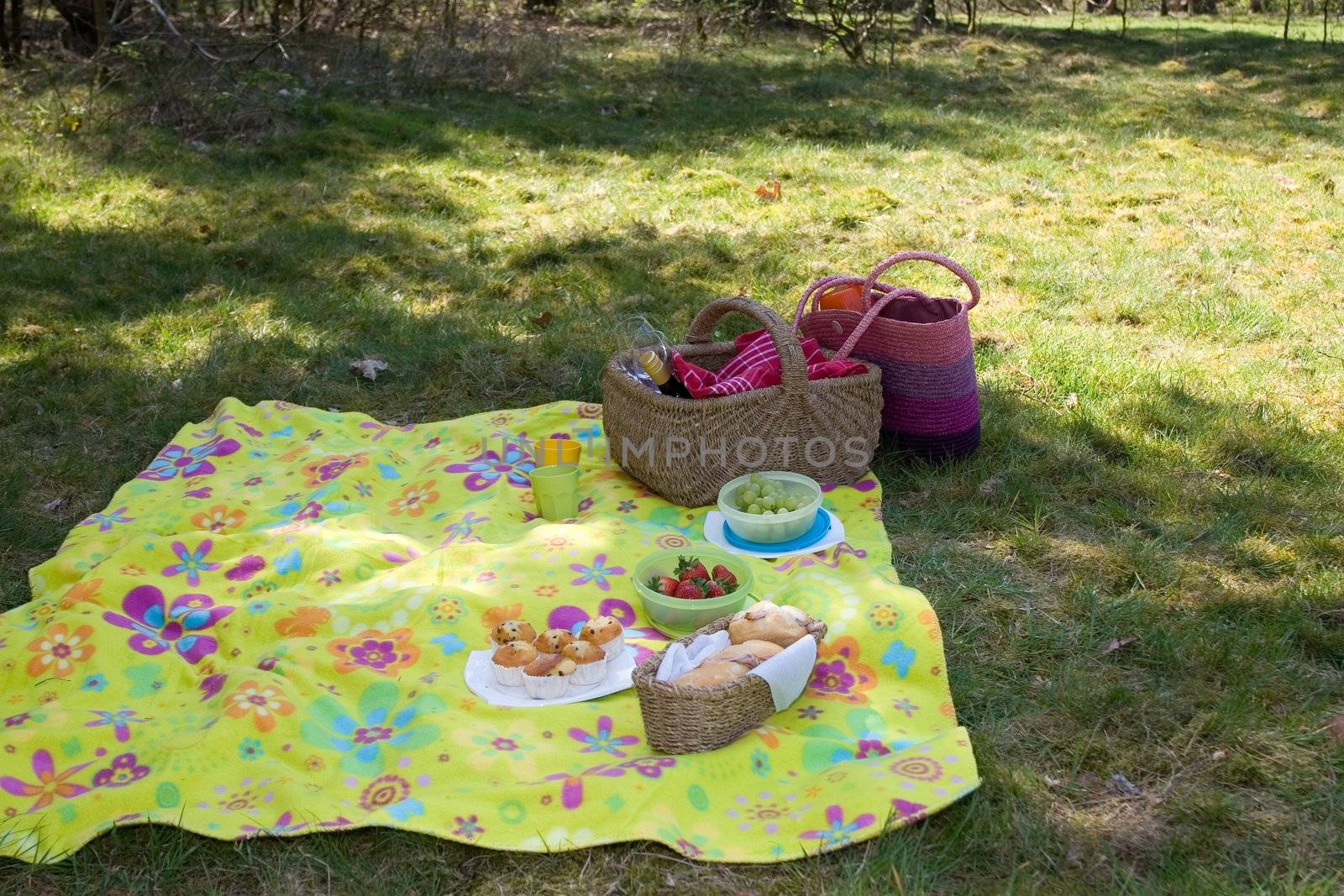 Colourful picnic blanket in the shade of a tree on a warm summerday