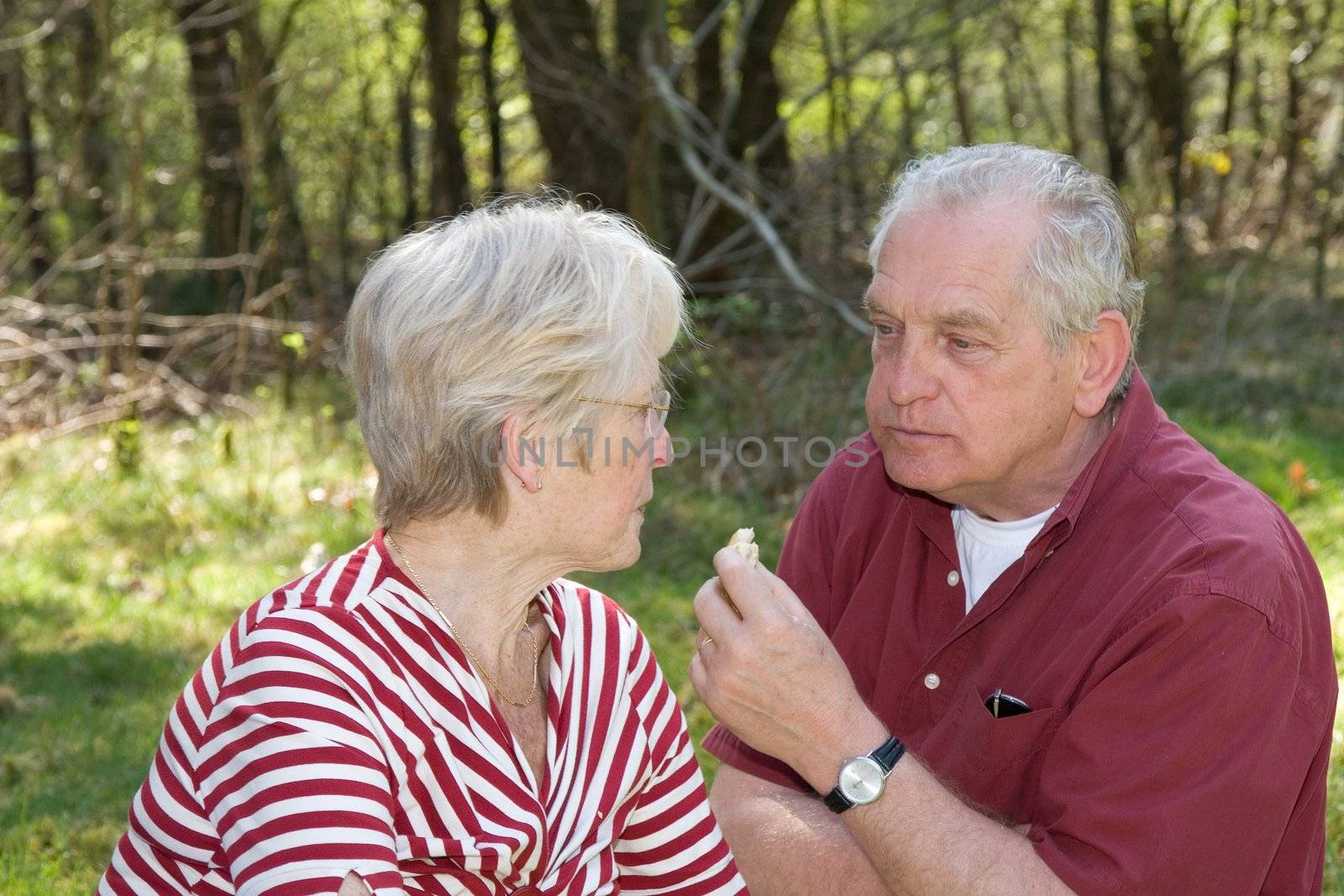 Elderly couple having a picnic together in the forest