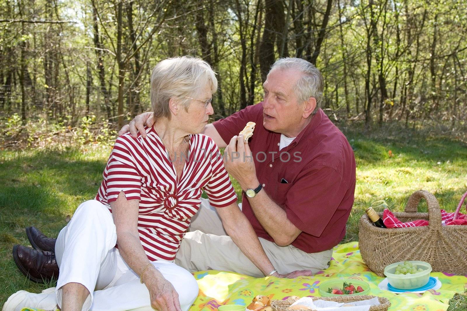 Elderly couple enjoying a leisurely picnic outdoors in the forest on a summerday
