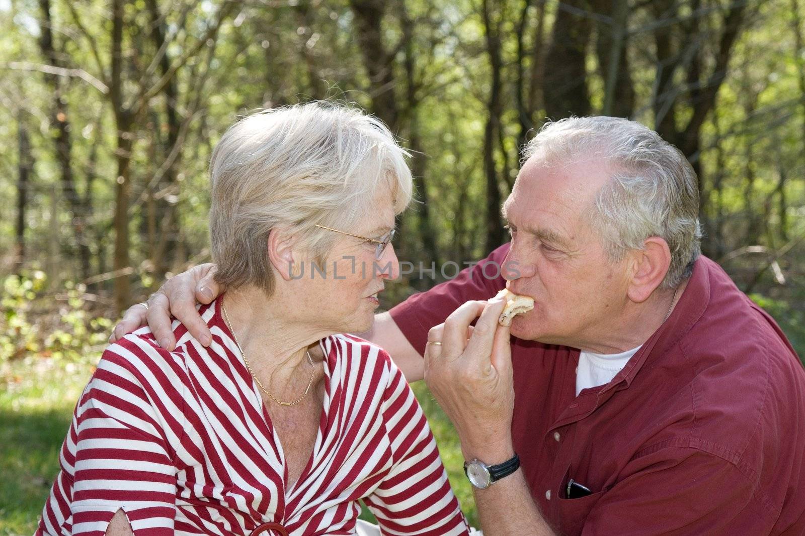 Elderly couple at a picnic in the forest