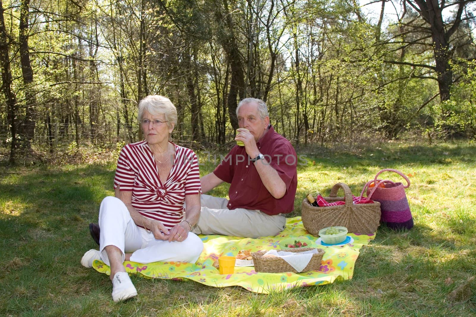 Lovely picnic by Fotosmurf