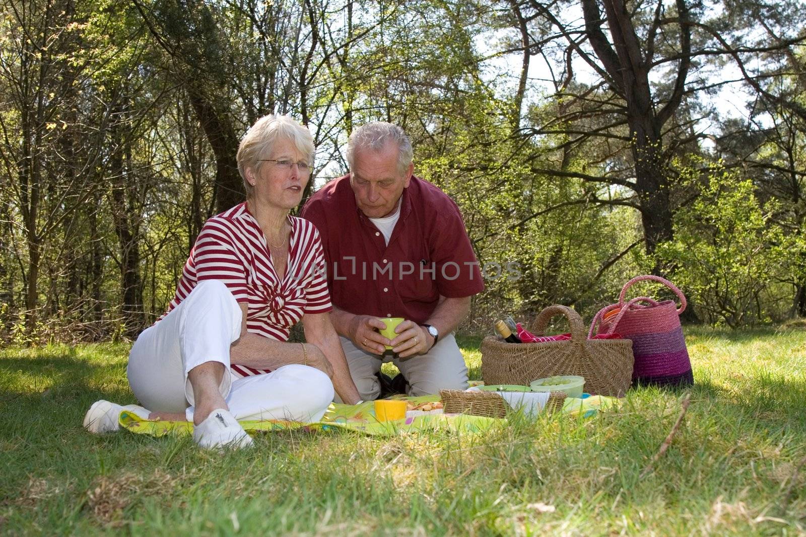 Elderly couple enjoying a leisure pic nic outdoors in the field