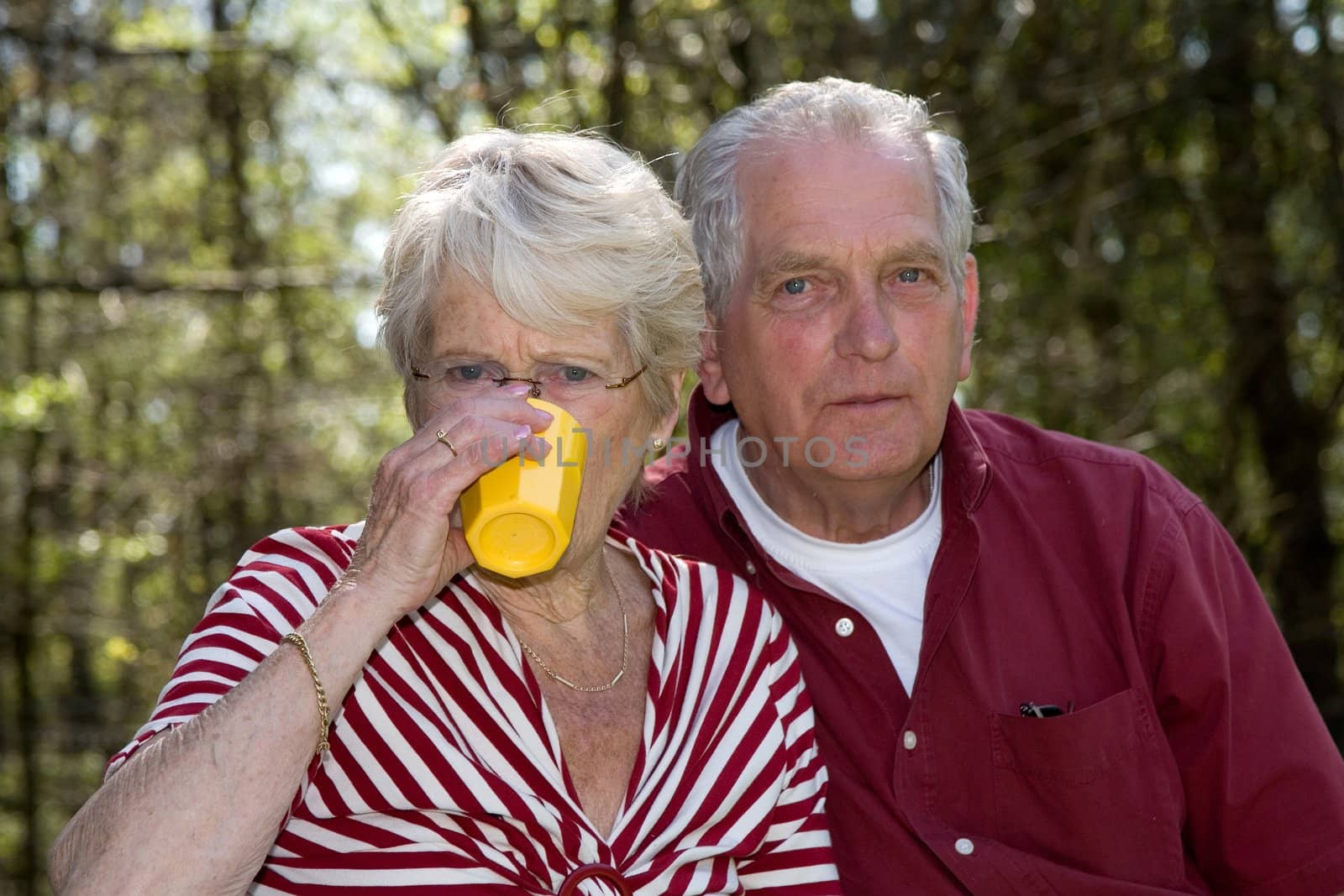 Elderly couple outdoors on a summer day having a little picnic