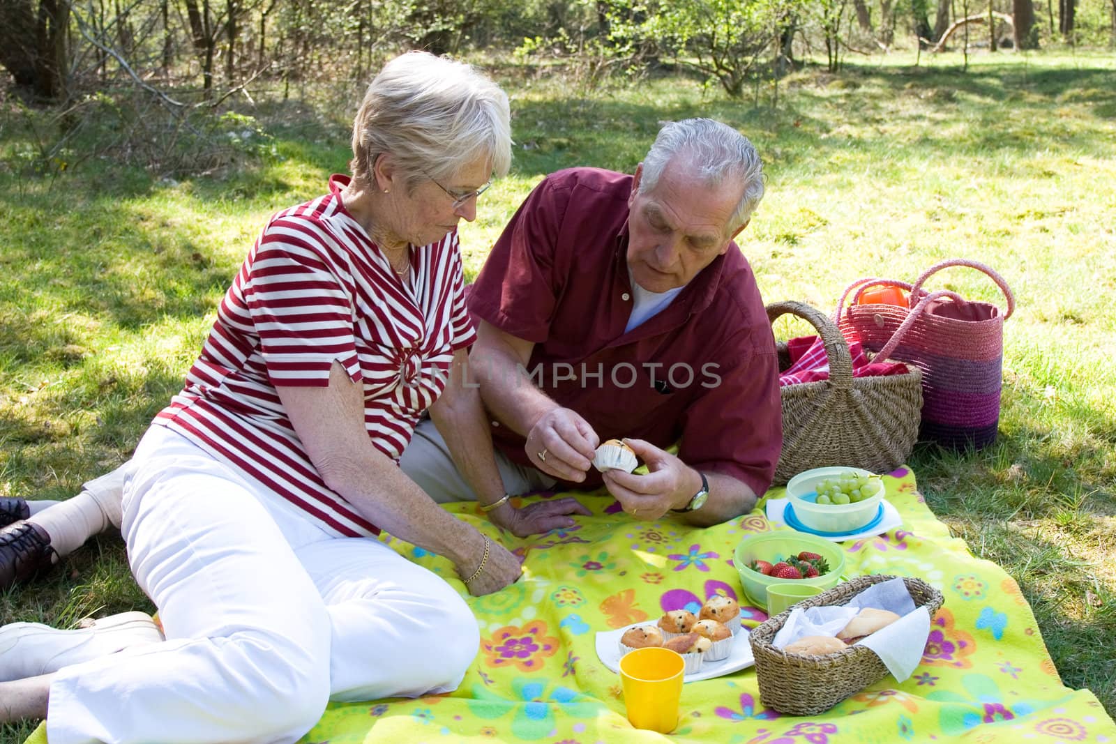 Senior couple enjoying the outdoors while having a picnic