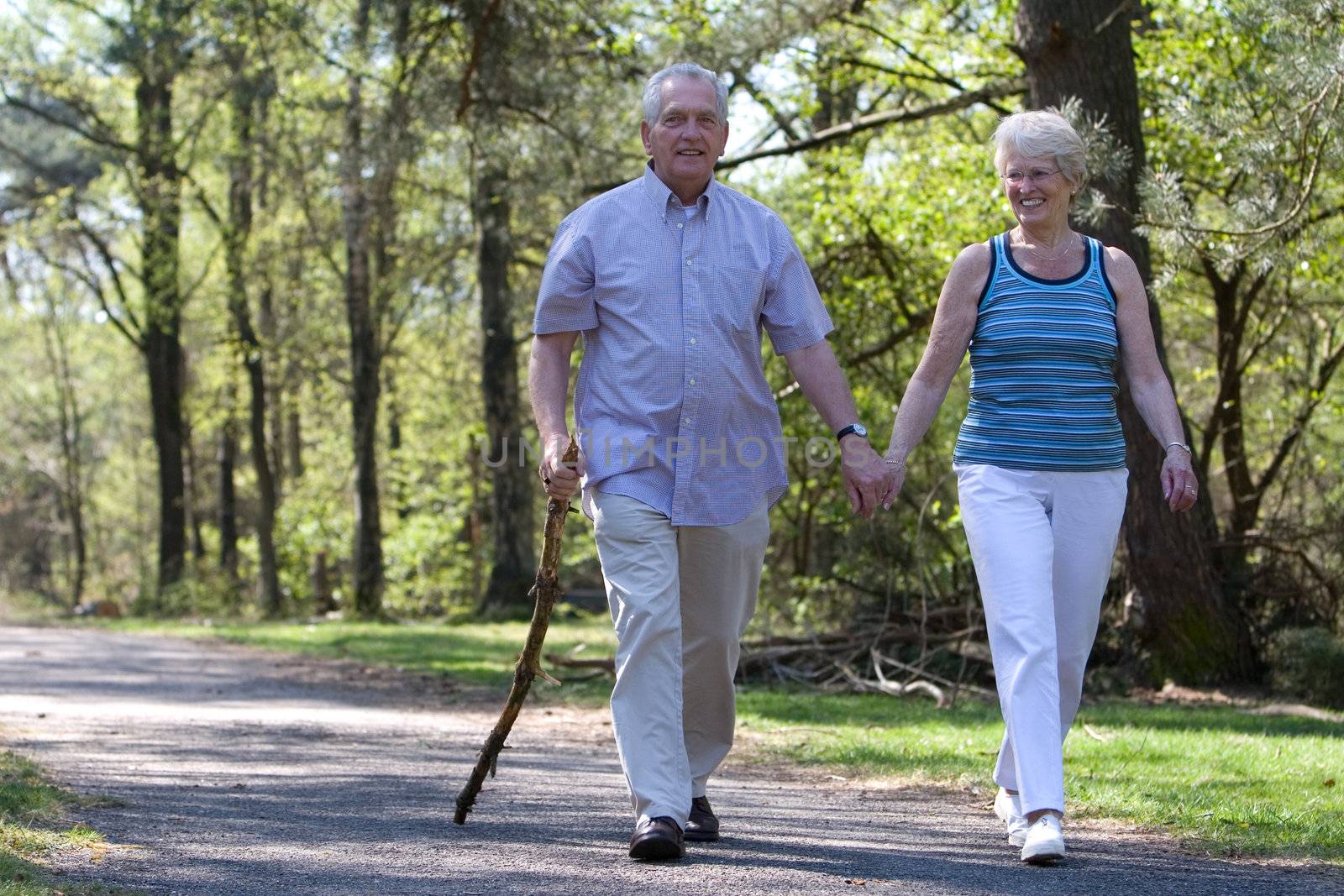 Happy senior couple enjoying a walk in the parc