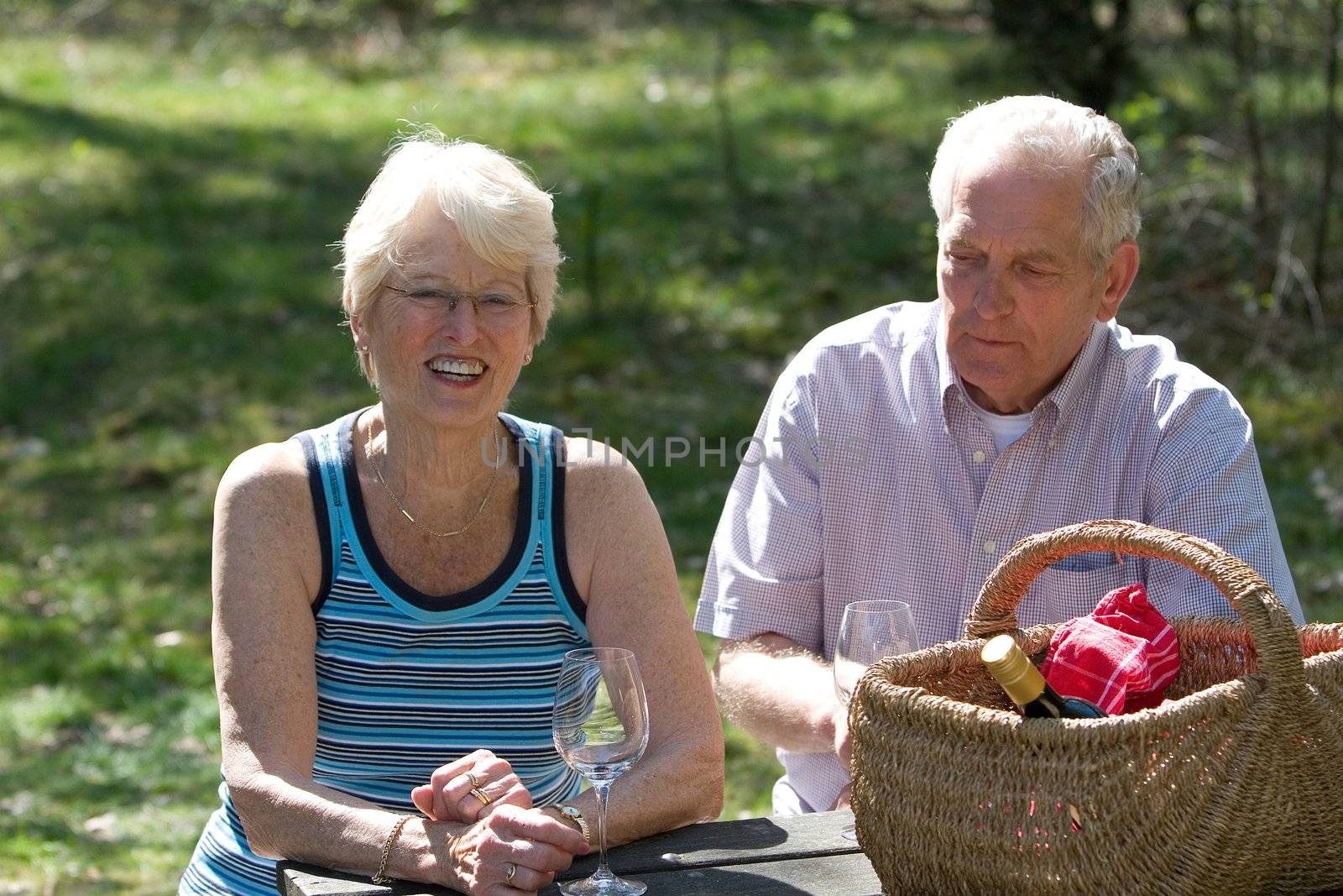 Lovely elderly couple on a summer pic nic in the park