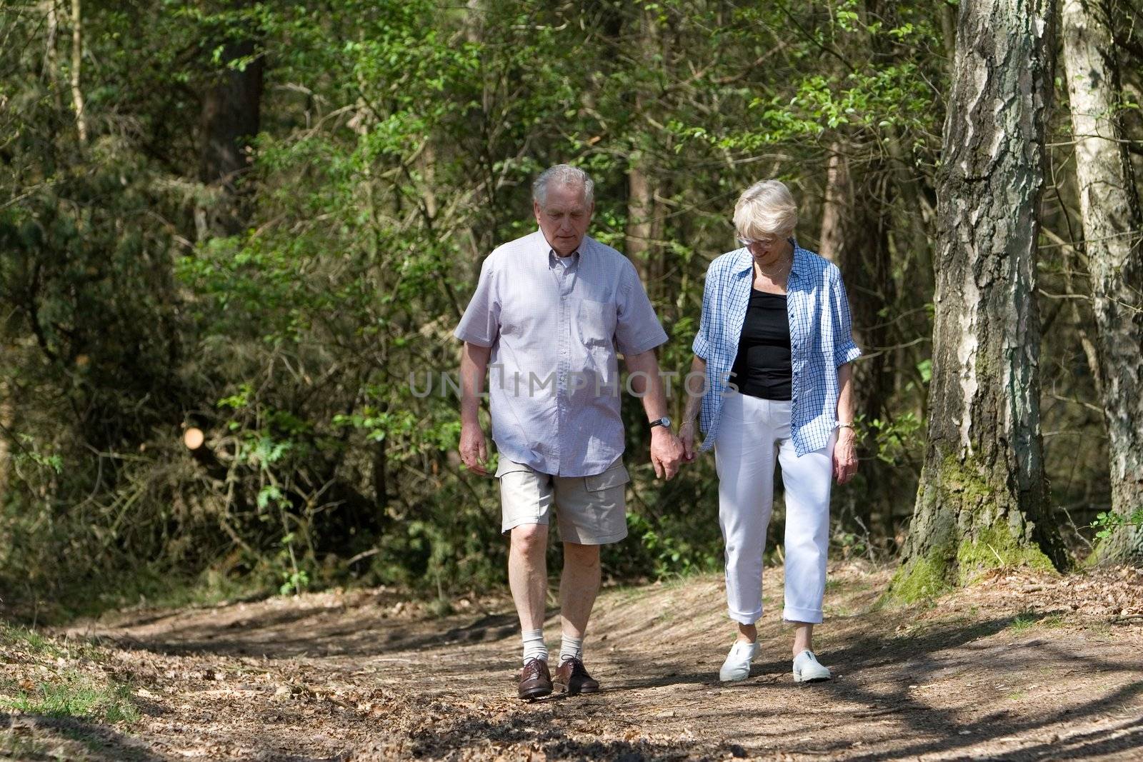 Handsome senior couple walking in the forest on a sunny afternoon