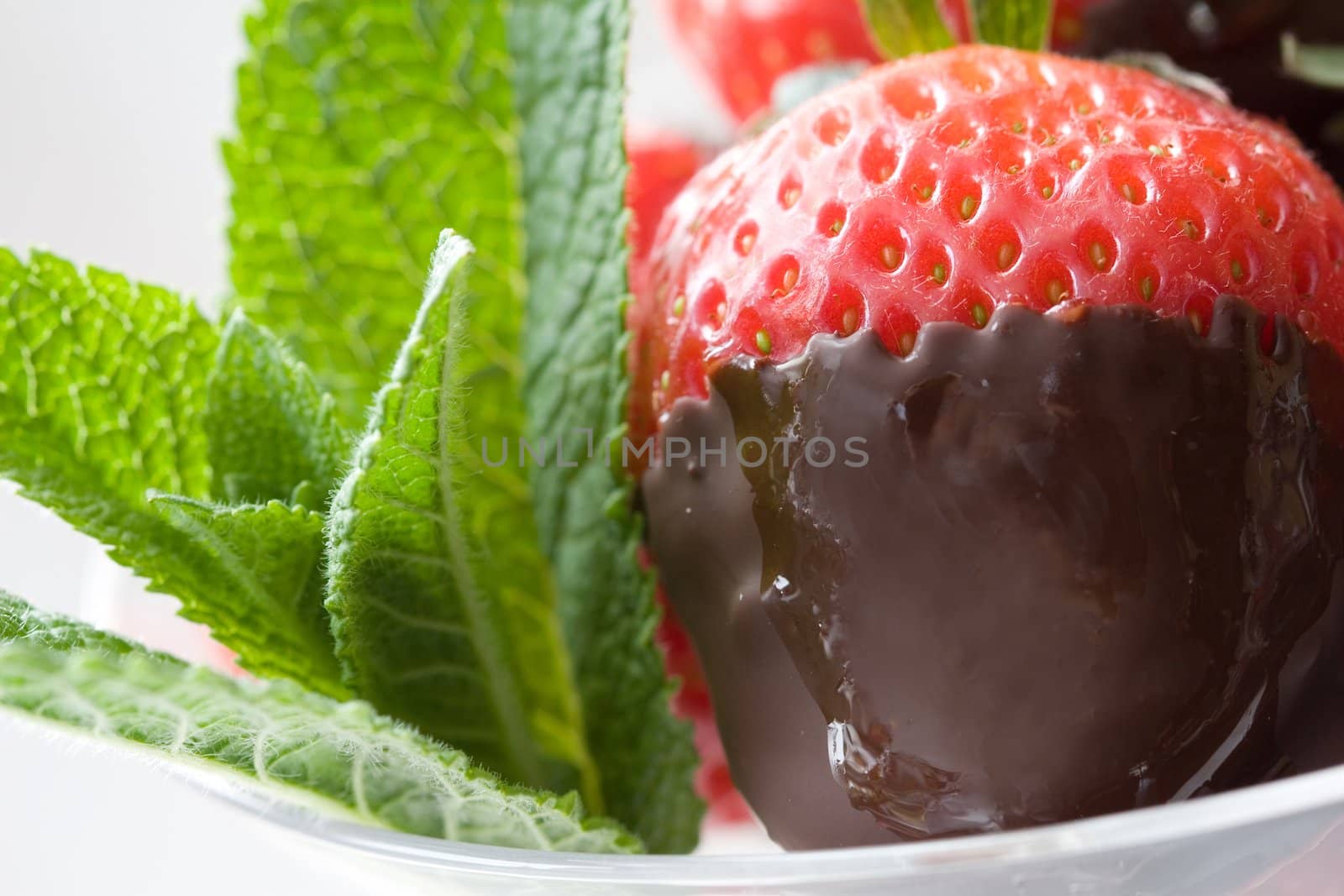 Delicious strawberry with it's tip dipped in chocolate