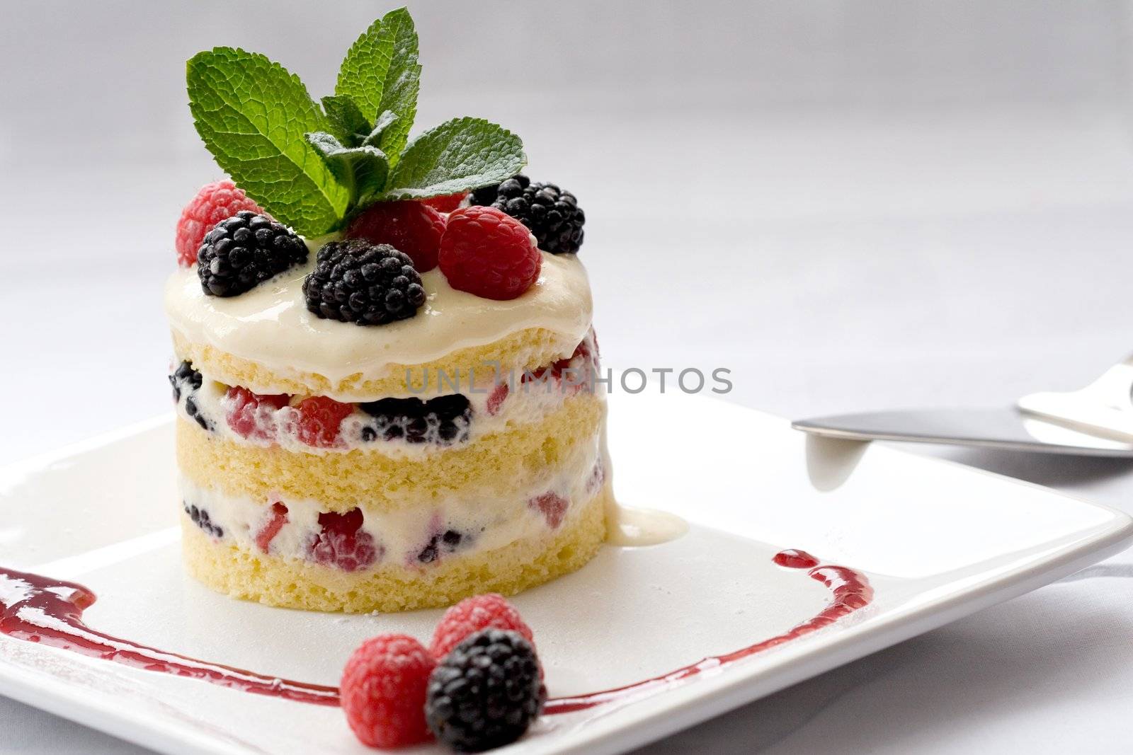 Delicious dessert with layers of cake and filled with mascarpone cream and fresh fruit