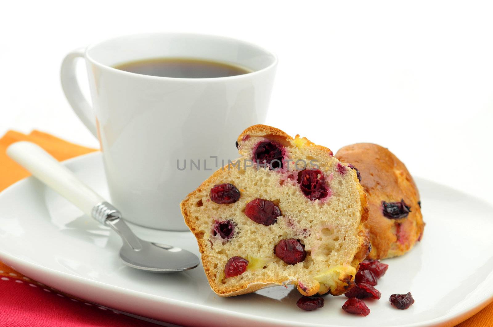 Delicious and healthy cranberry lemon muffin.