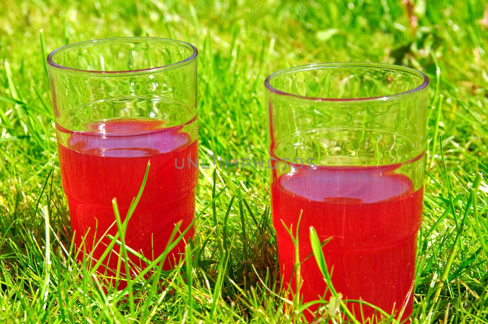 Fresh rhubarb juice on picnic