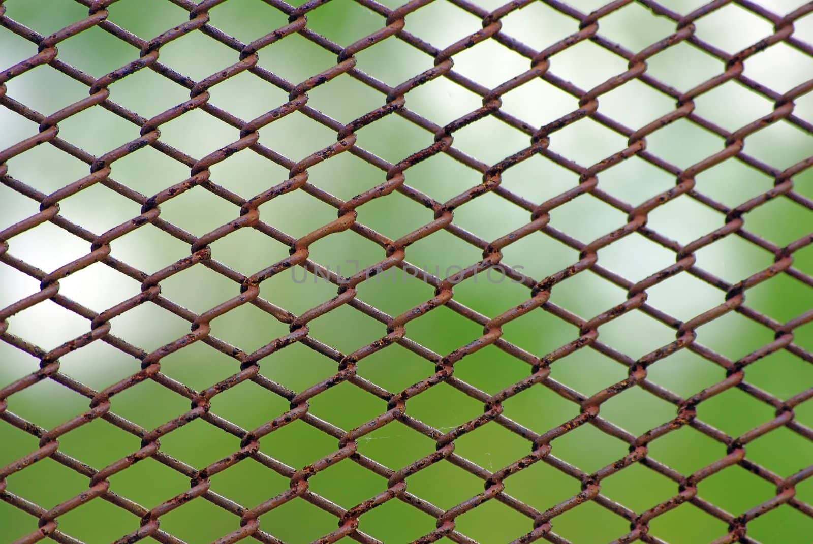 Chain link rusty fence on a green foliage background
