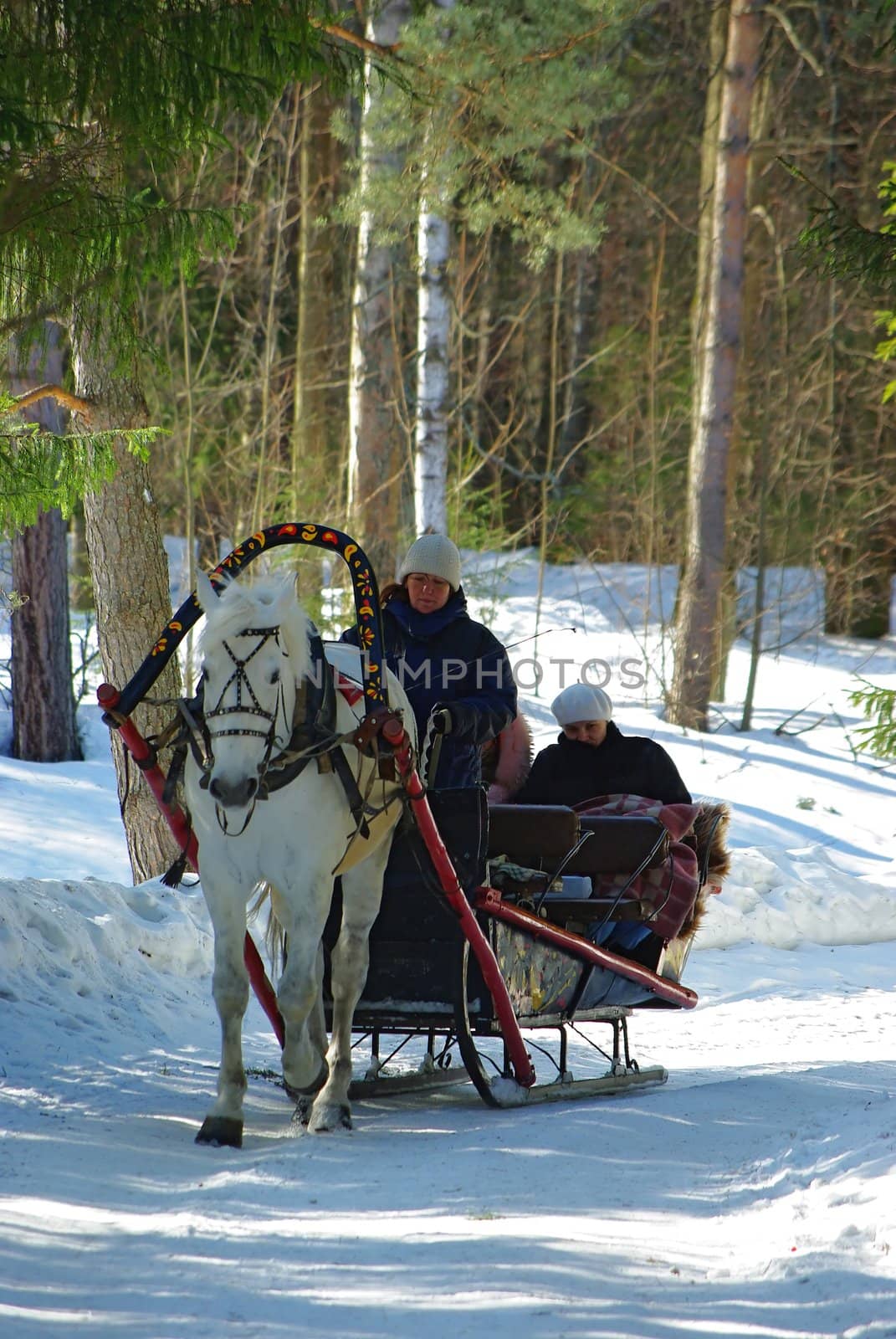 Typical Russian fun - winter horse sledge riding. Editorial use only.