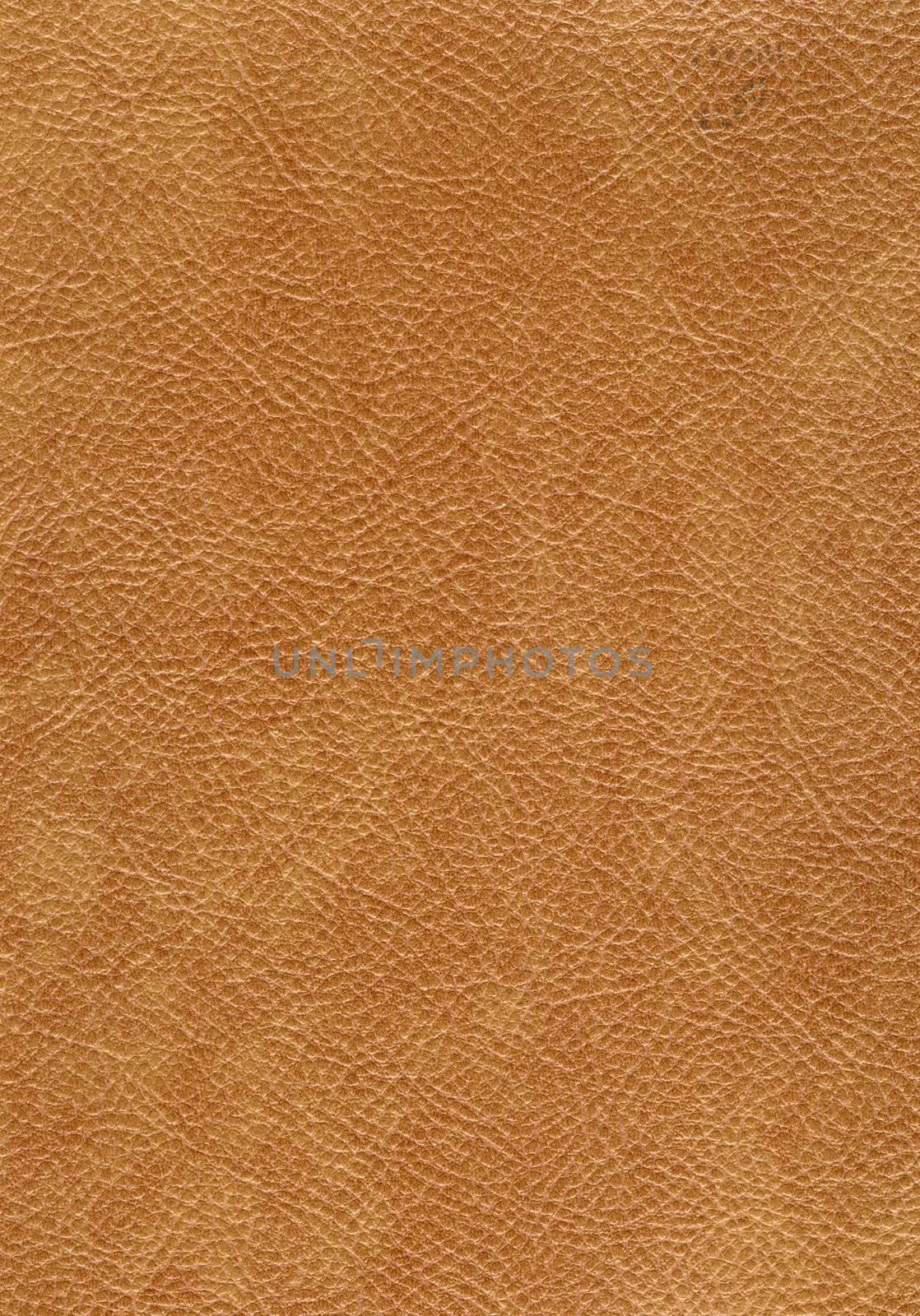 scanned texture of artificial leather