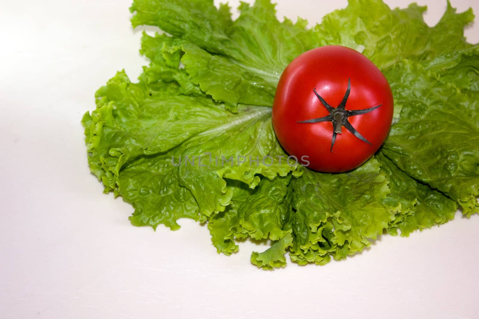 Tomato and salad leaves on a white background