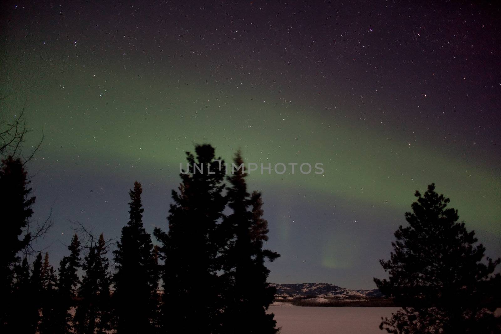 Aurora Borealis display and lots of stars in clear night sky, image taken at the shore of Lake Laberge, Yukon Territory, Canada