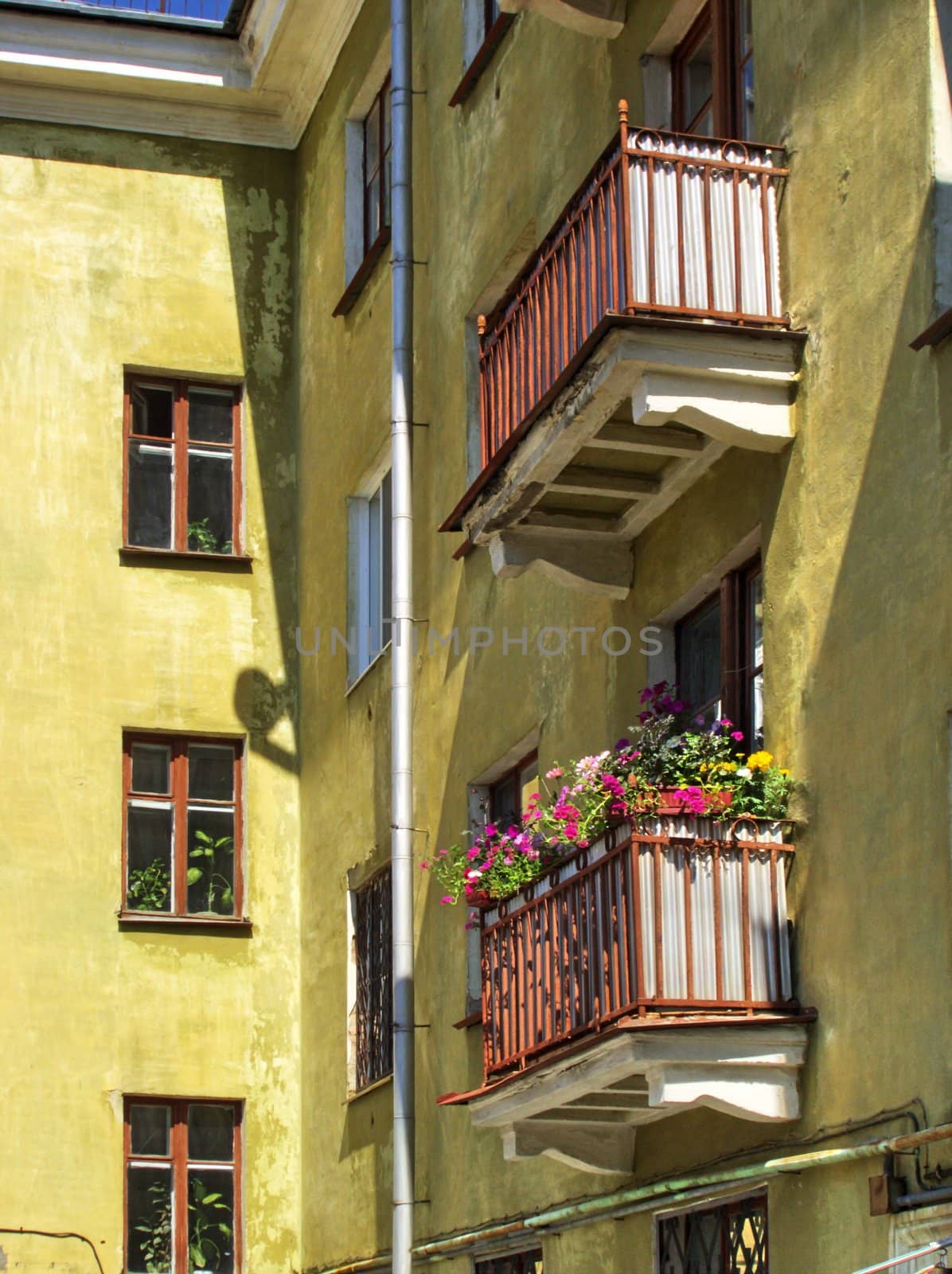 Flowers on a balcony by gaev