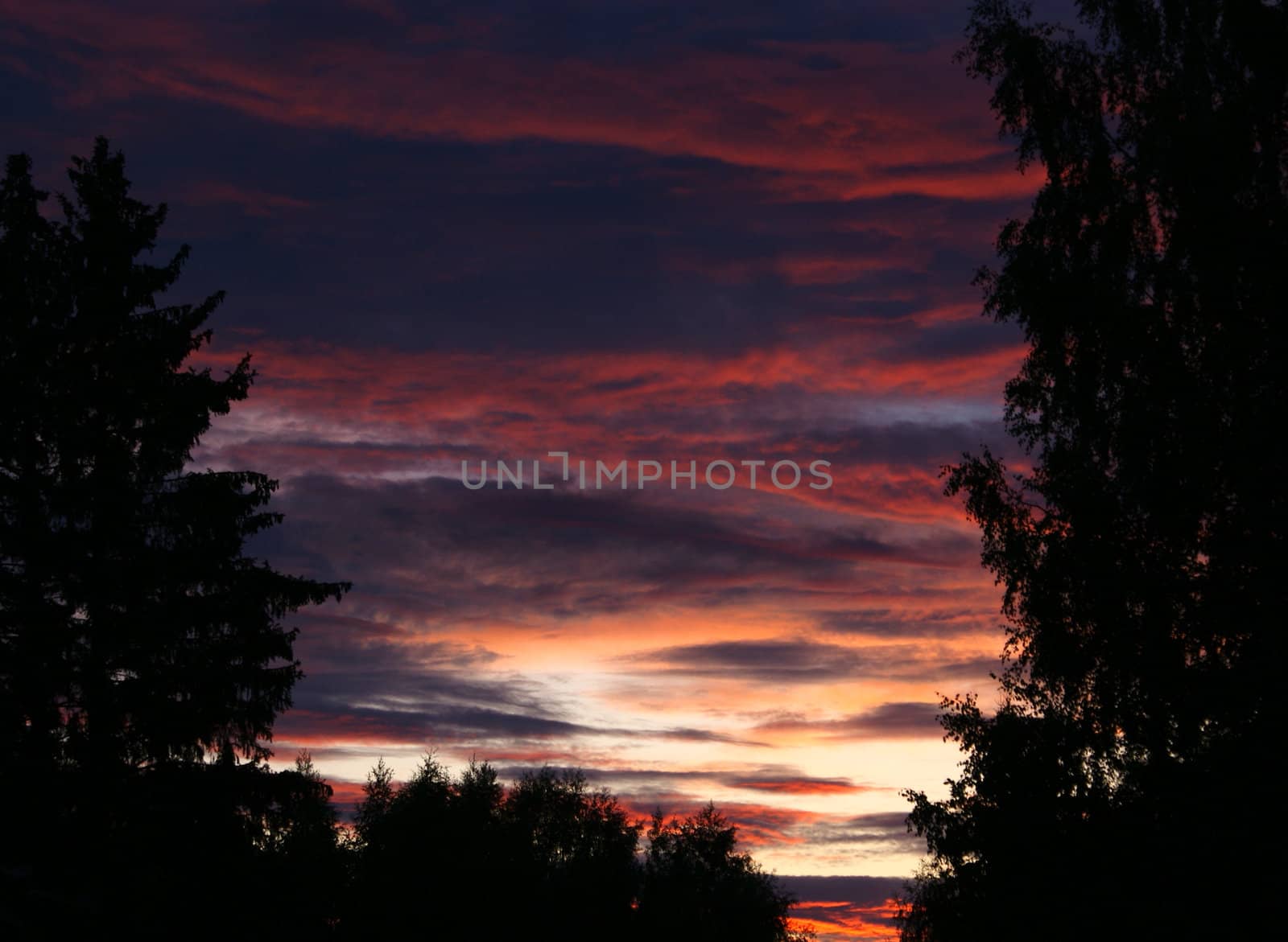 gorgeous sunset in the countryside