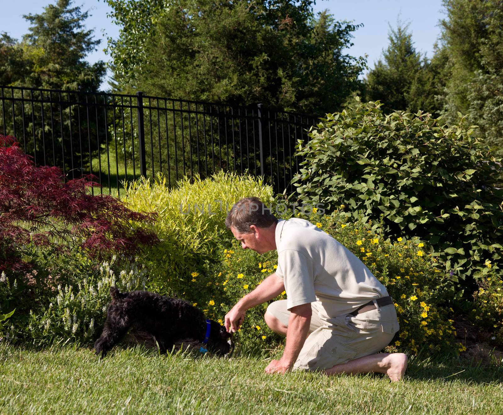 Baby boomer sitting on the grass lawn and digging for weeds in a flowerbed with pet dog