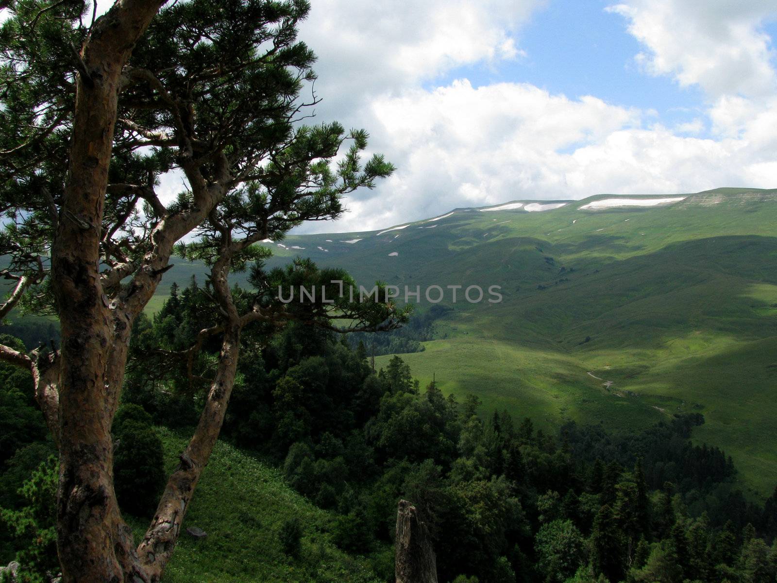 Beautiful mountain views Caucasian Nature Reserve