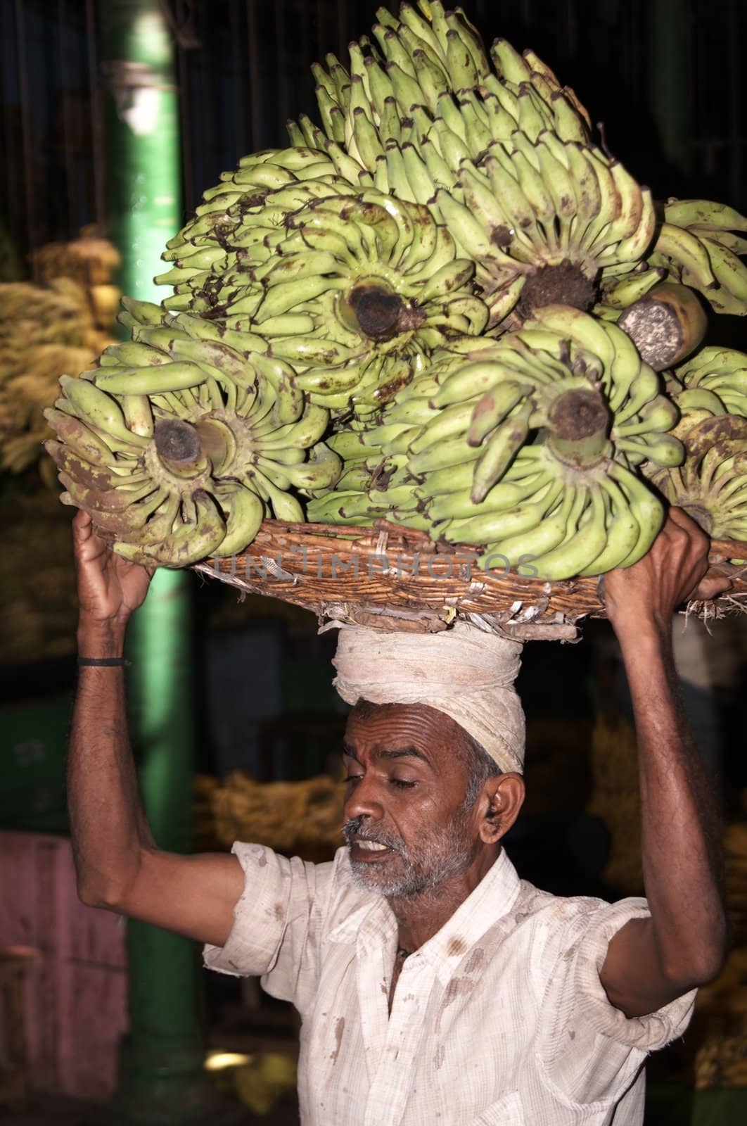 Man carrying large bunch of green bananas on his head in the market at Mysore, Southern India