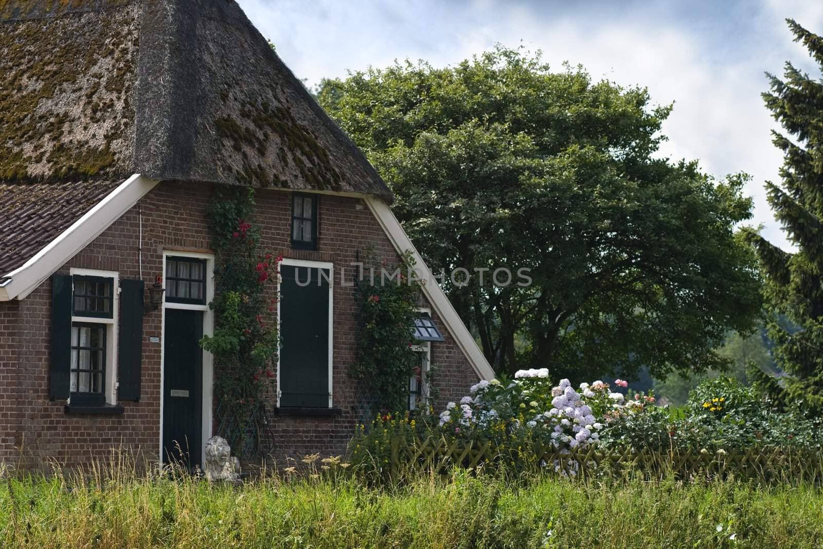 Old Dutch farm in  the country  in summer