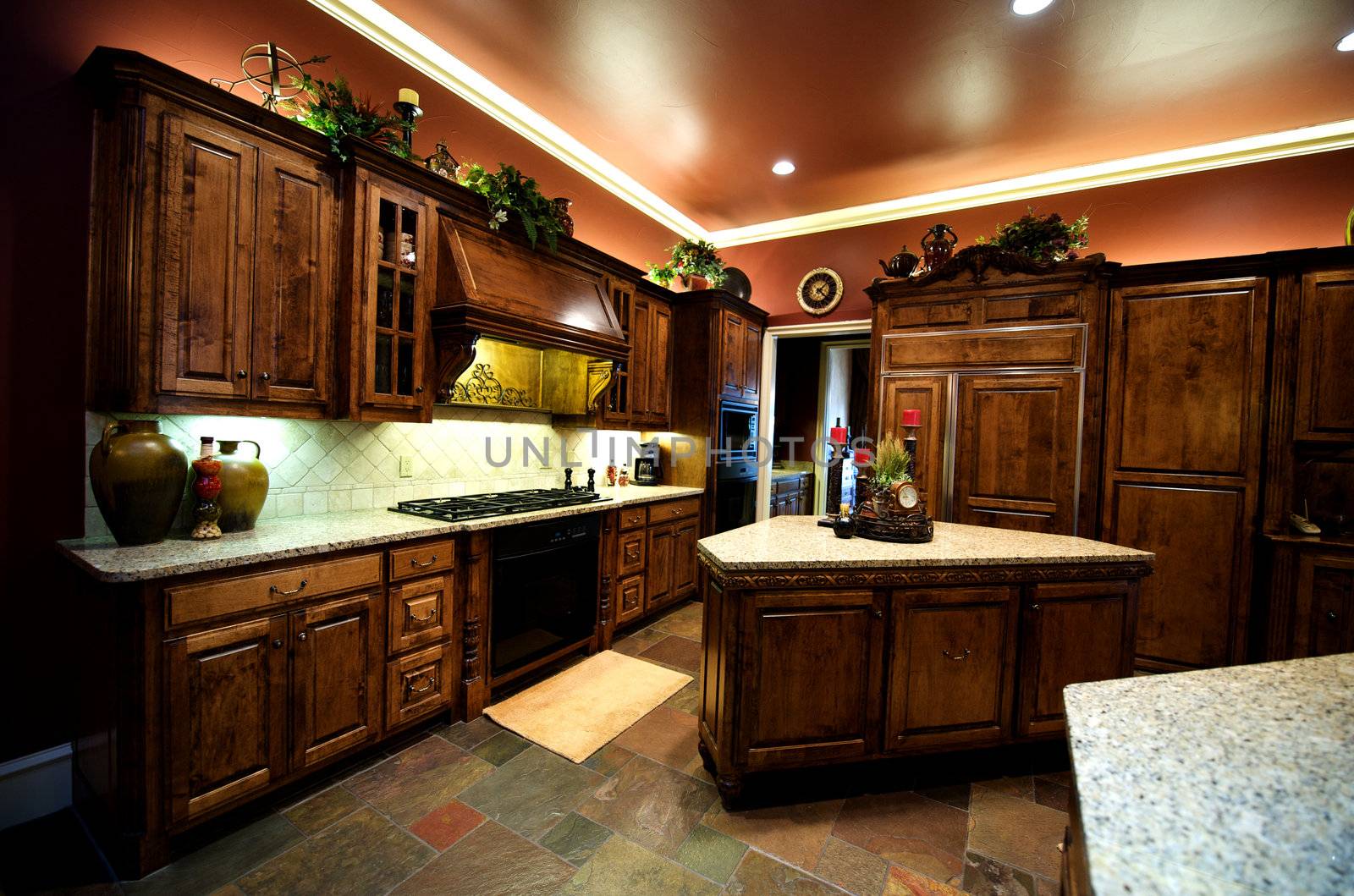 An image of a luxurious decorated kitchen