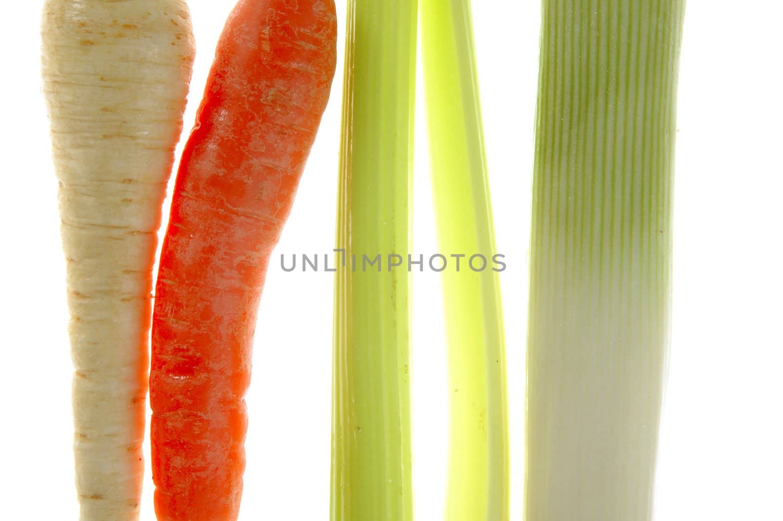 Varied vegetables in a row, turnip, carrot, leek, thistle