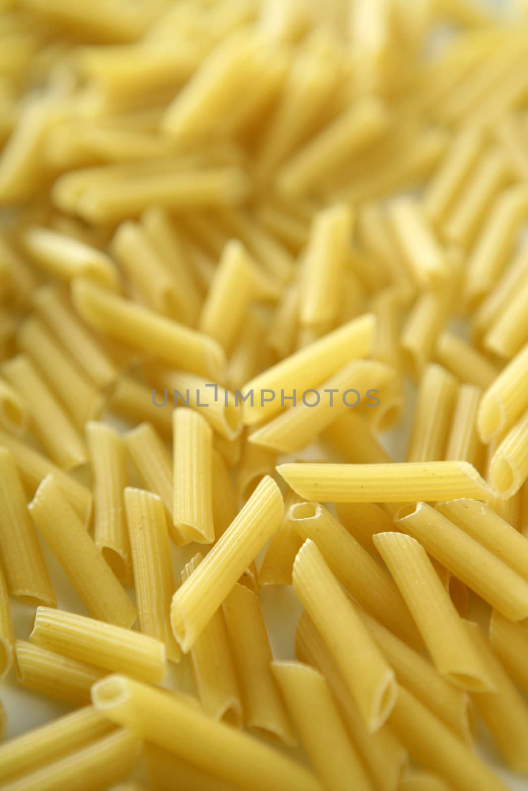 Italian macaroni, pasta texture close-up