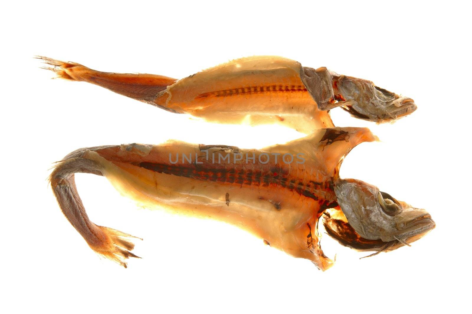 Dried salted hake fish over white background