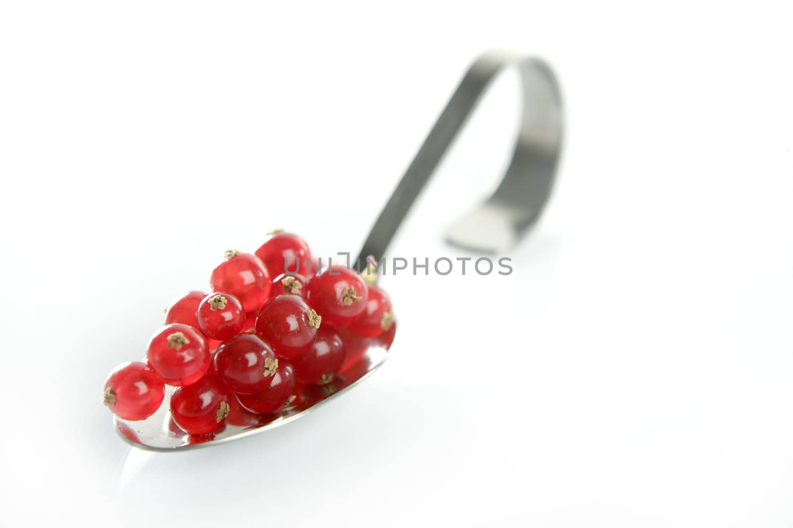 Redcurrant berries in a curved spoon in white background